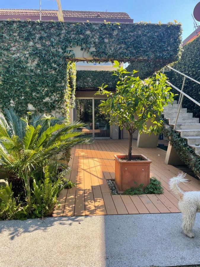 Joey Daire Pietrasanta Dış mekan fotoğraf
